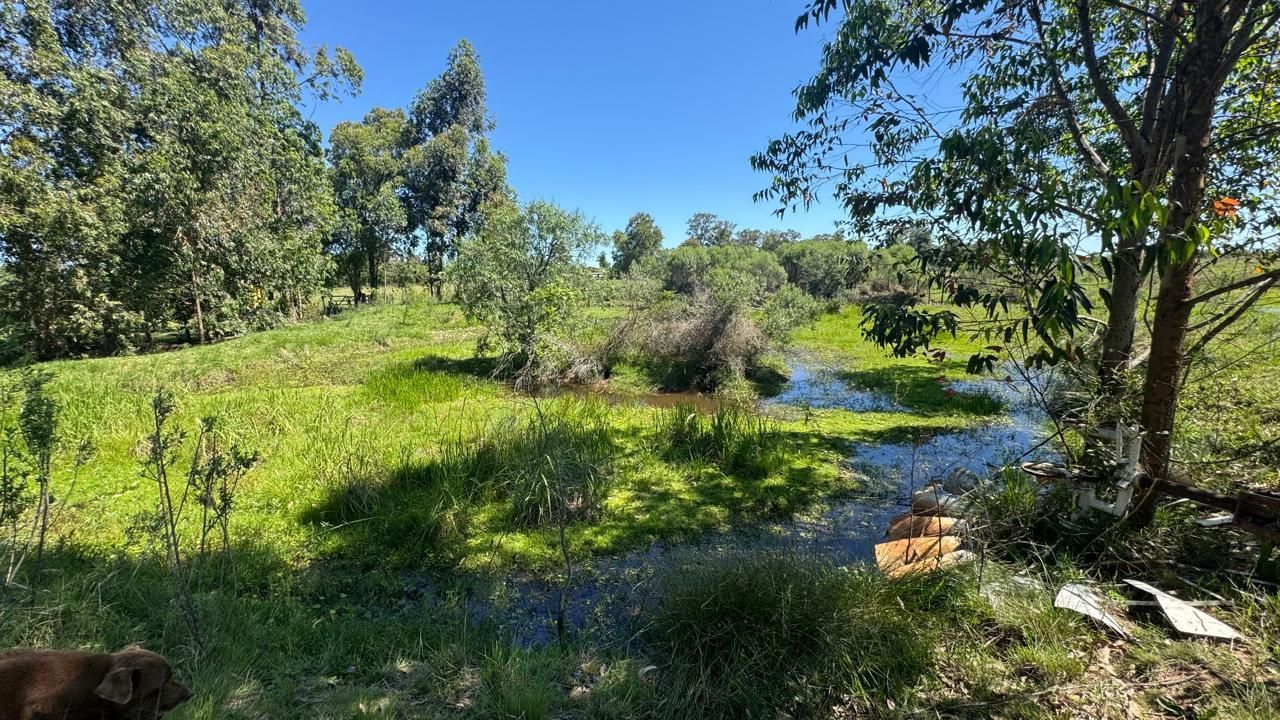 Sítio à Venda em Zona Rural – 12 Hectares, 5 Quartos, 3 Salas