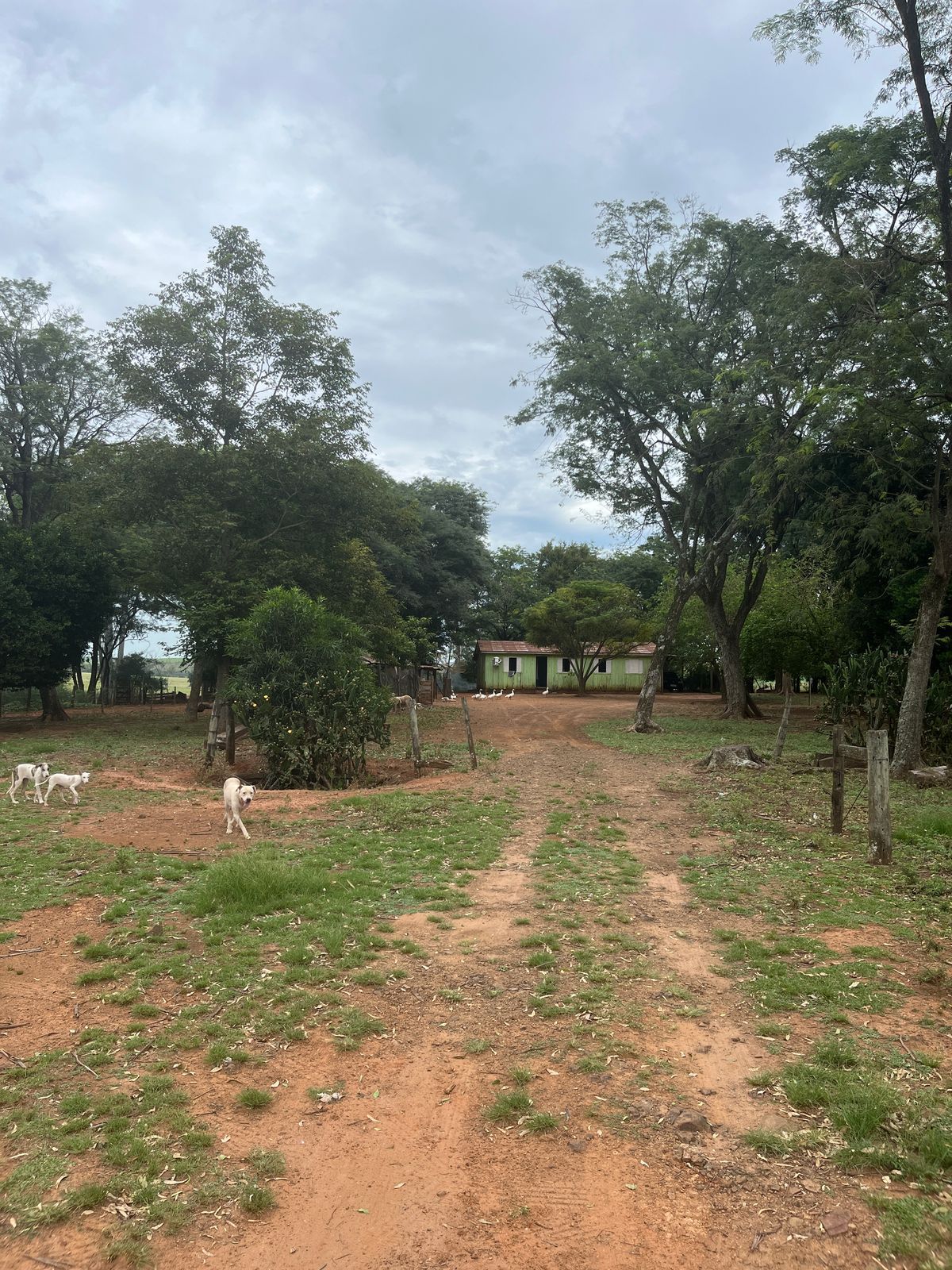 Chacará para venda em manoel viana/ rs