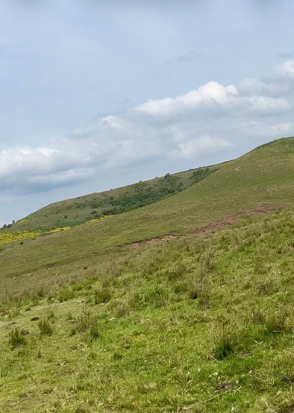 Campo para venda no cávera
