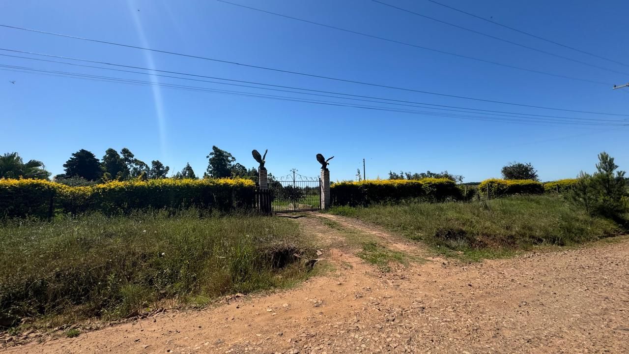 Sítio à venda em zona rural – 12 hectares, 5 quartos, 3 sala