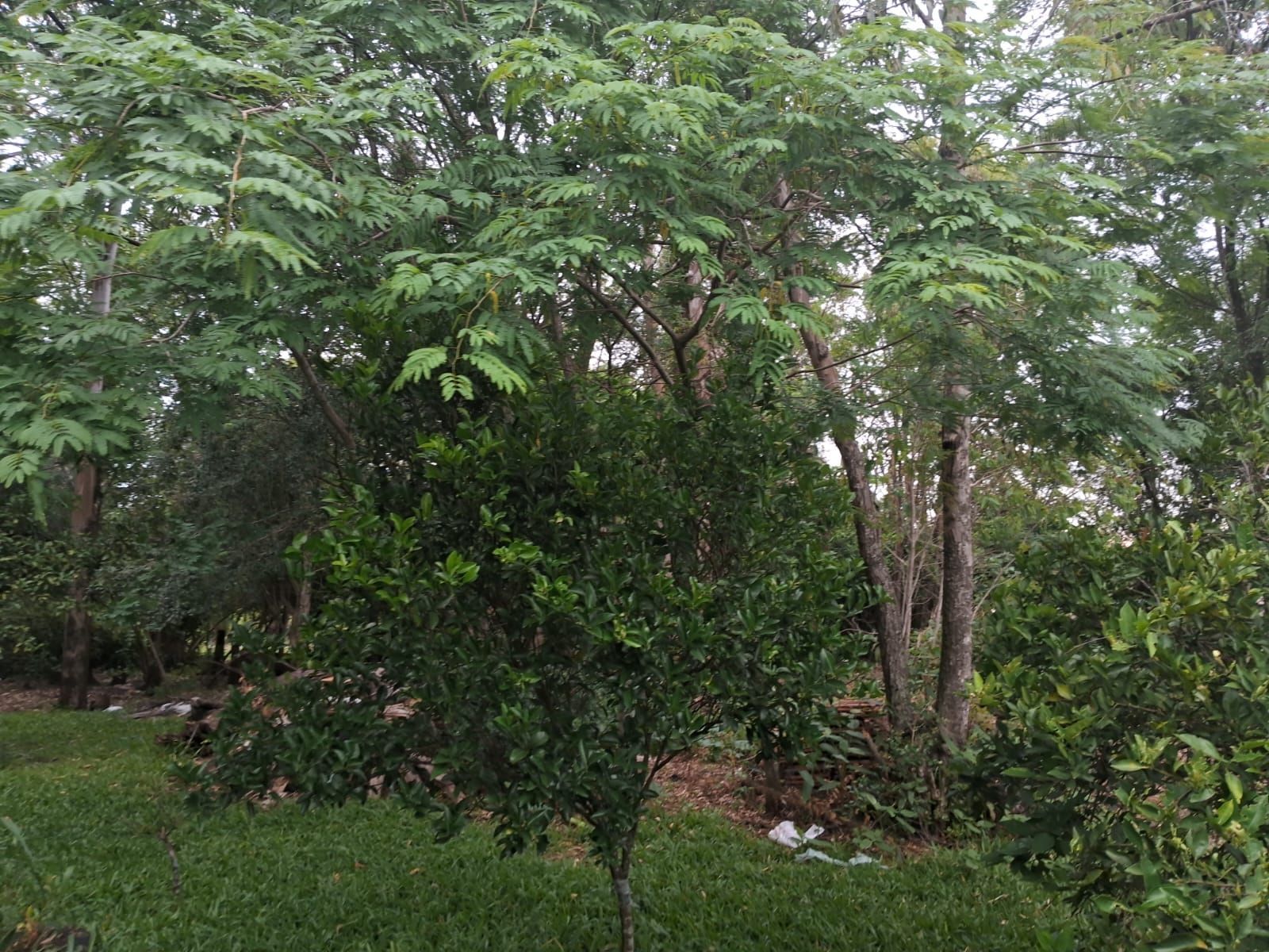 Casa, 2 quartos, 99 m² - Foto 33