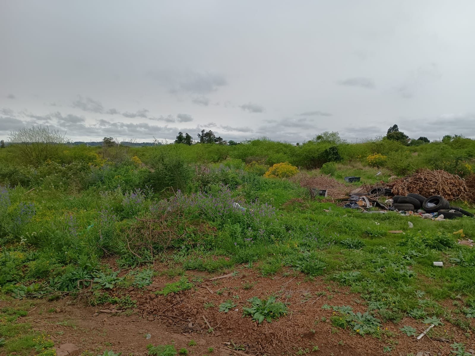 Terrenos à venda no bairro saint pastous, alegrete – 5 opçõe