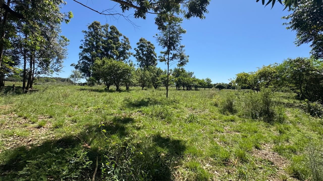 Sítio à Venda em Zona Rural – 12 Hectares, 5 Quartos, 3 Salas