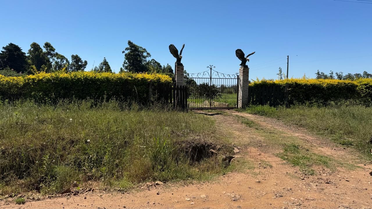 Sítio à venda em zona rural – 12 hectares, 5 quartos, 3 sala