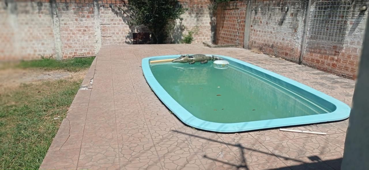 Casa à Venda com 4 Dormitórios, Pátio e Garagem Oportunidade
