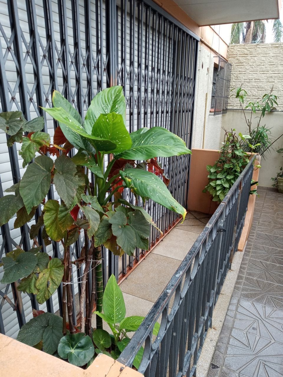 Apartamento para aluguel, 3 quartos, 1 suíte, 1 vaga, Centro - Alegrete/RS - foto 4