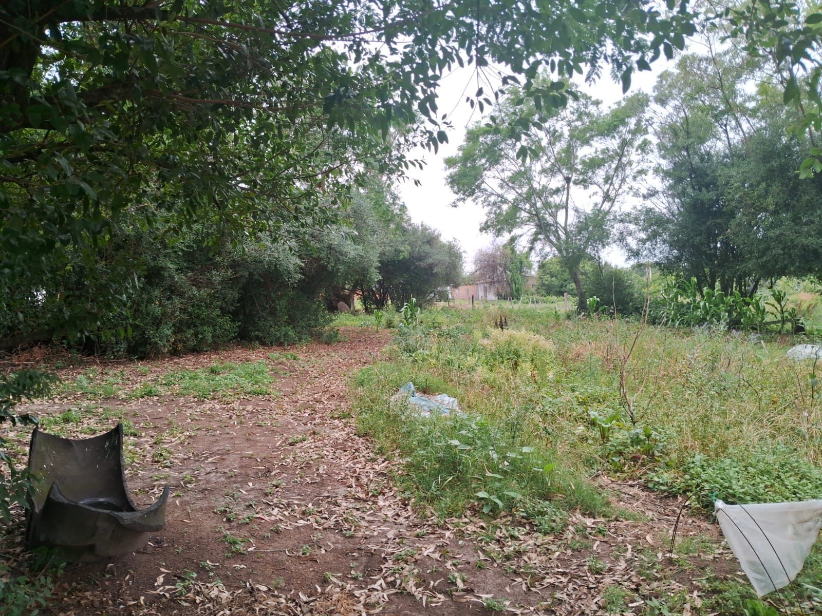 Casa, 2 quartos, 99 m² - Foto 22