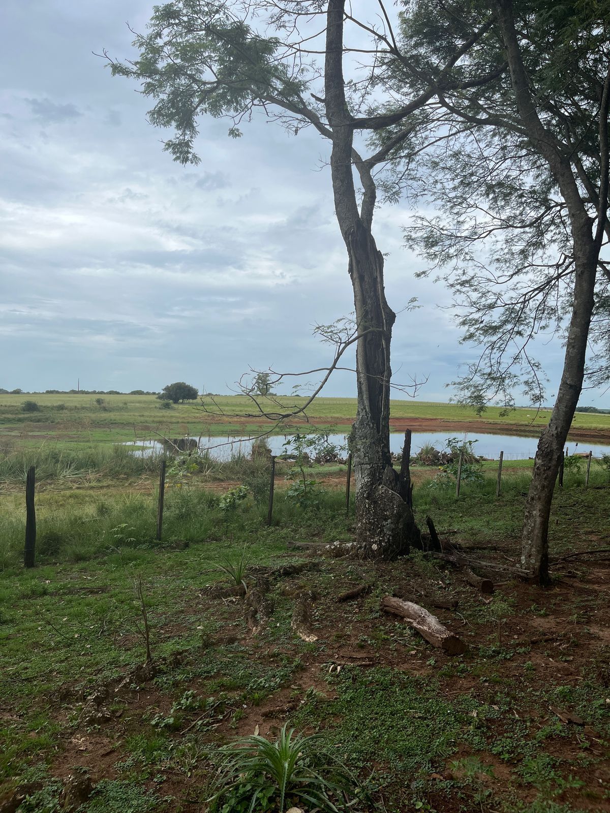 Chacará para venda em manoel viana/ rs