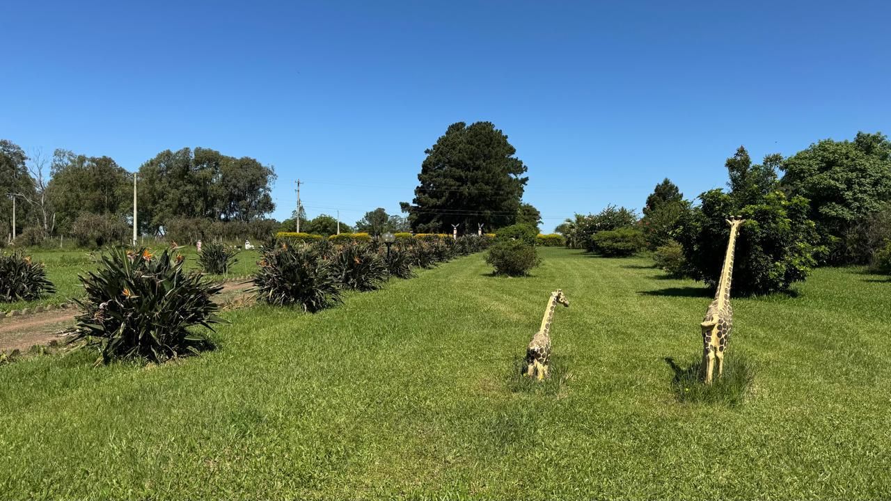 Sítio à Venda em Zona Rural – 12 Hectares, 5 Quartos, 3 Salas