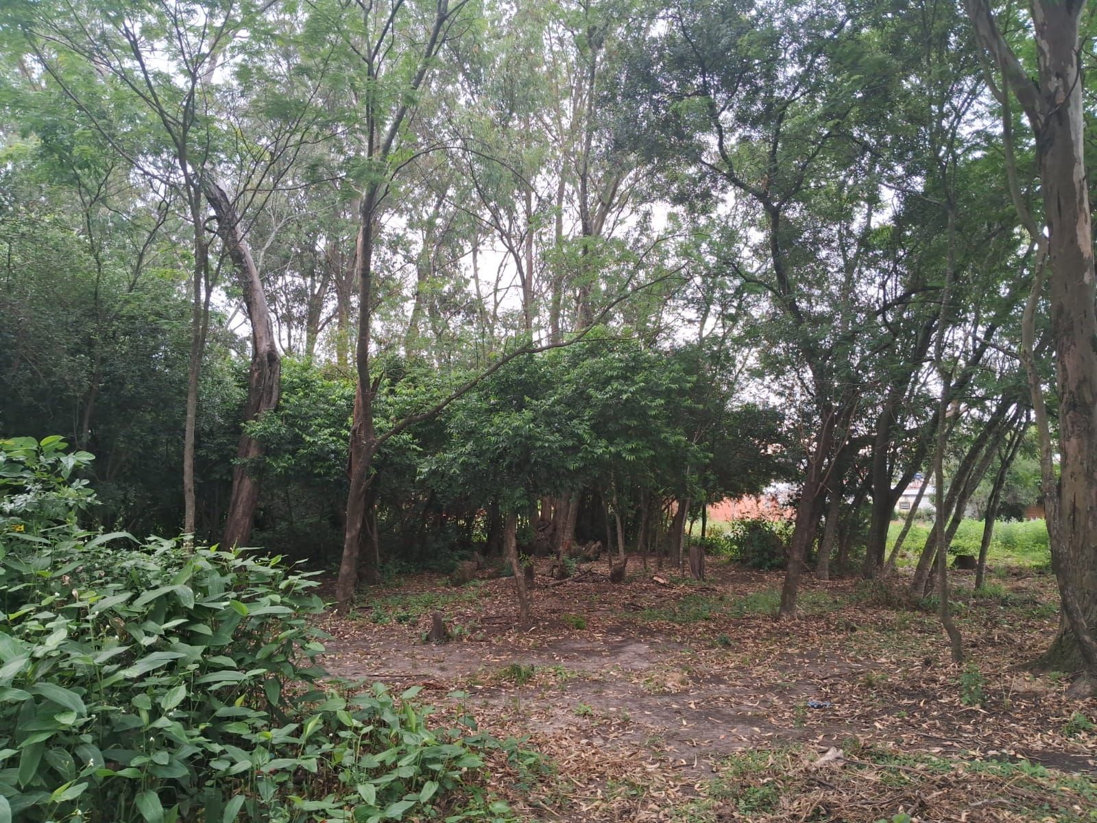 Casa, 2 quartos, 99 m² - Foto 29