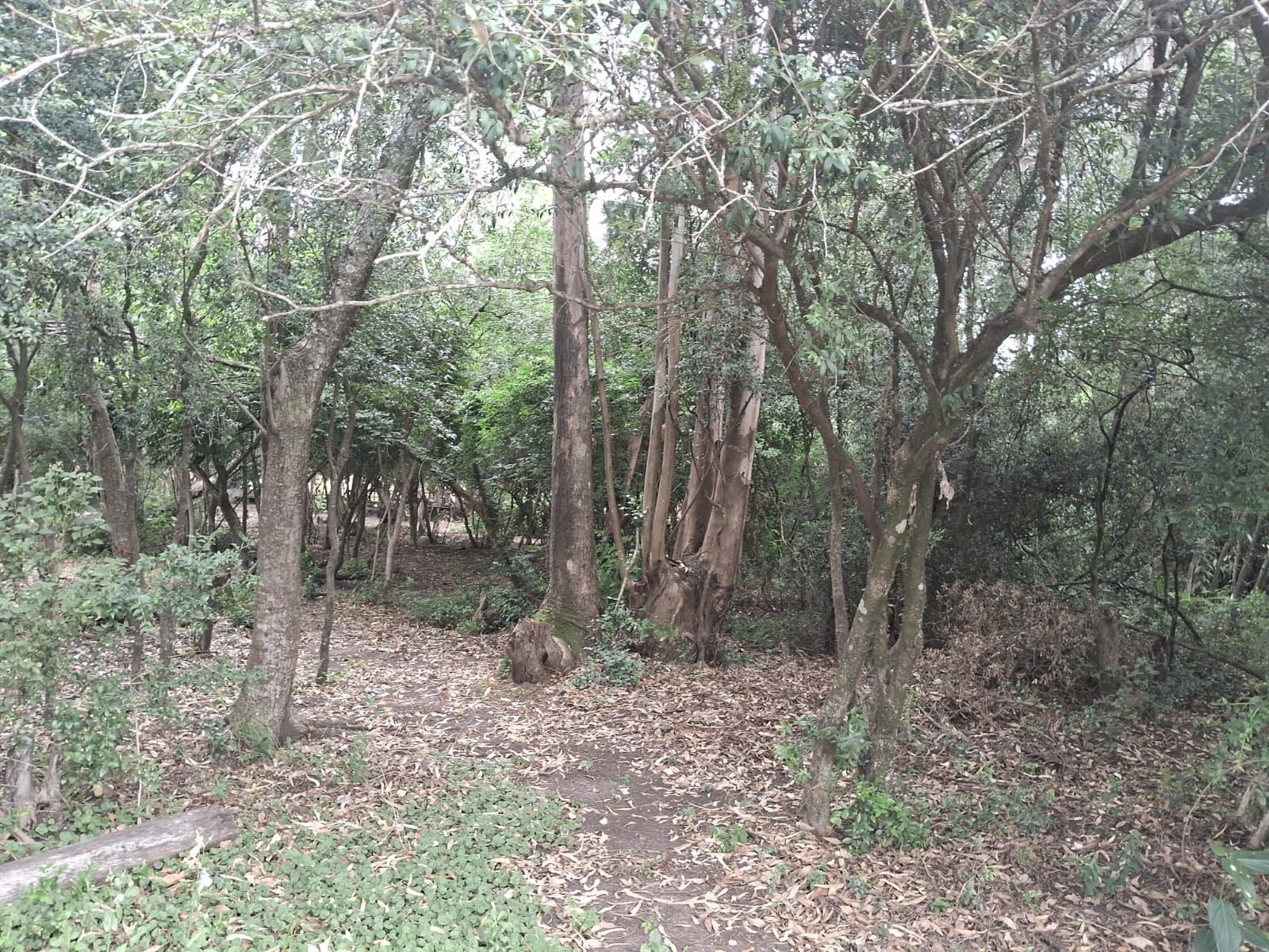 Casa, 2 quartos, 99 m² - Foto 20