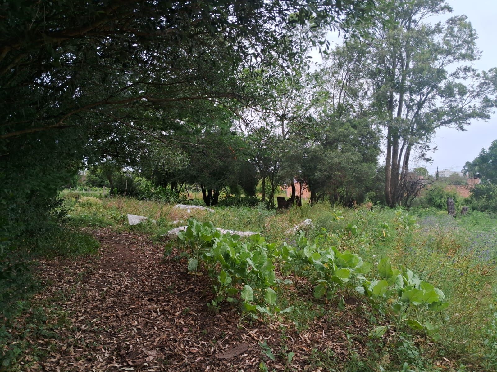 Casa, 2 quartos, 99 m² - Foto 16