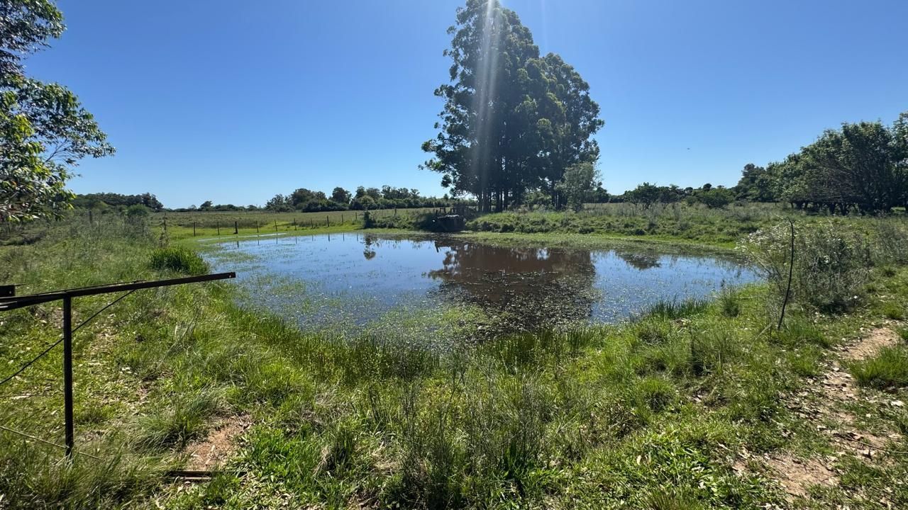 Sítio à venda em zona rural – 12 hectares, 5 quartos, 3 sala