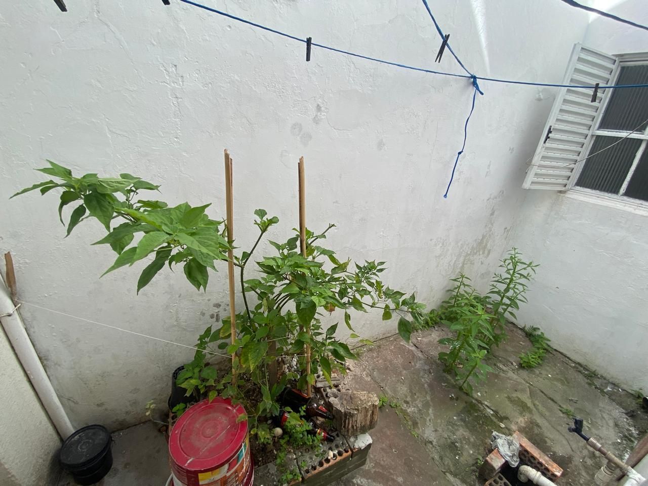 Prédio Inteiro, 30 m² - Foto 16