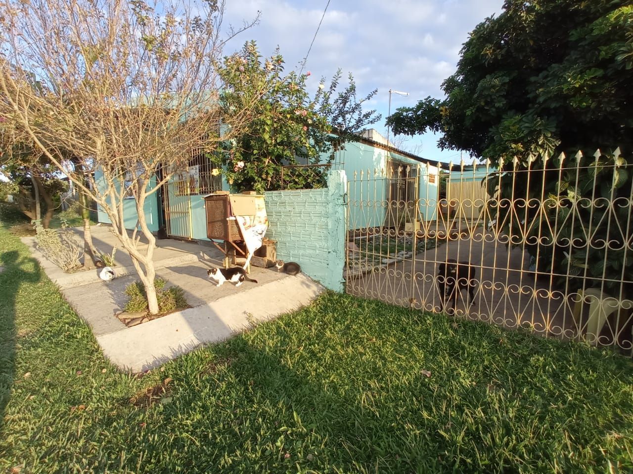 Casa à venda  no Dr. Romário A de Oliveira - Alegrete, RS. Imóveis
