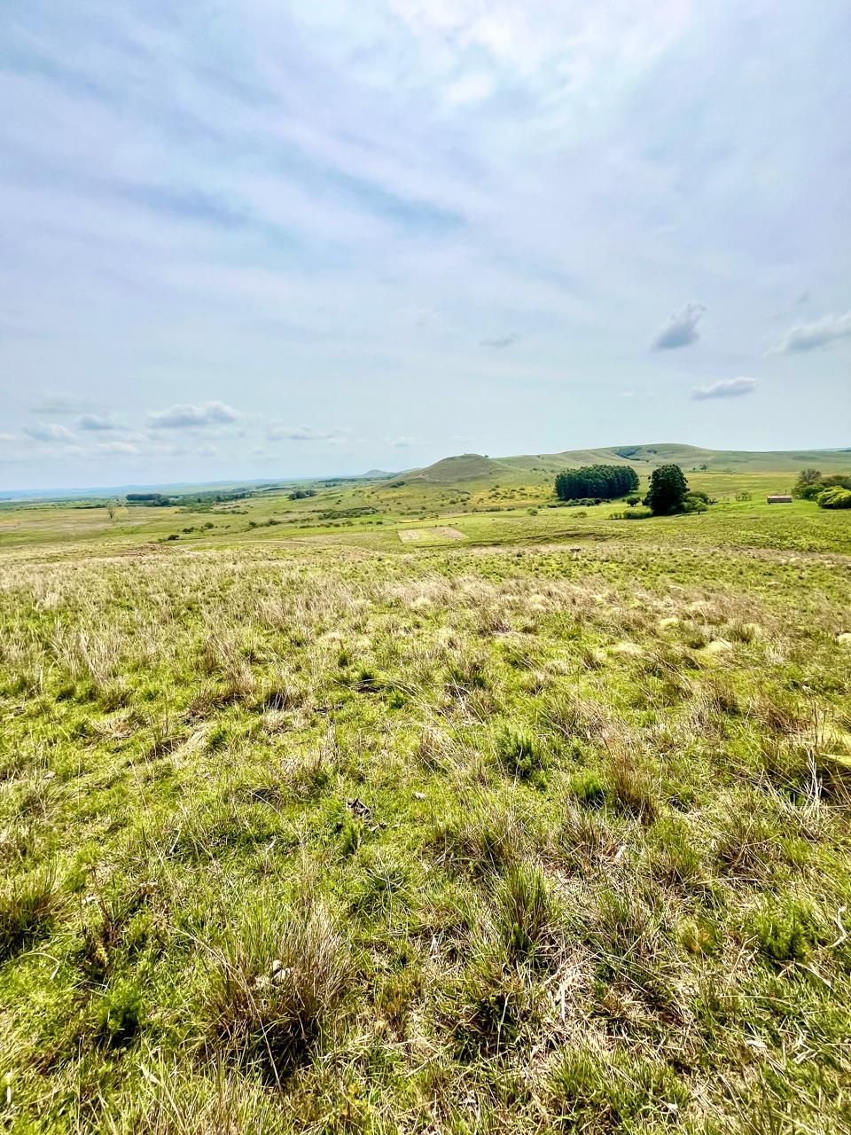 Campo para venda no cávera
