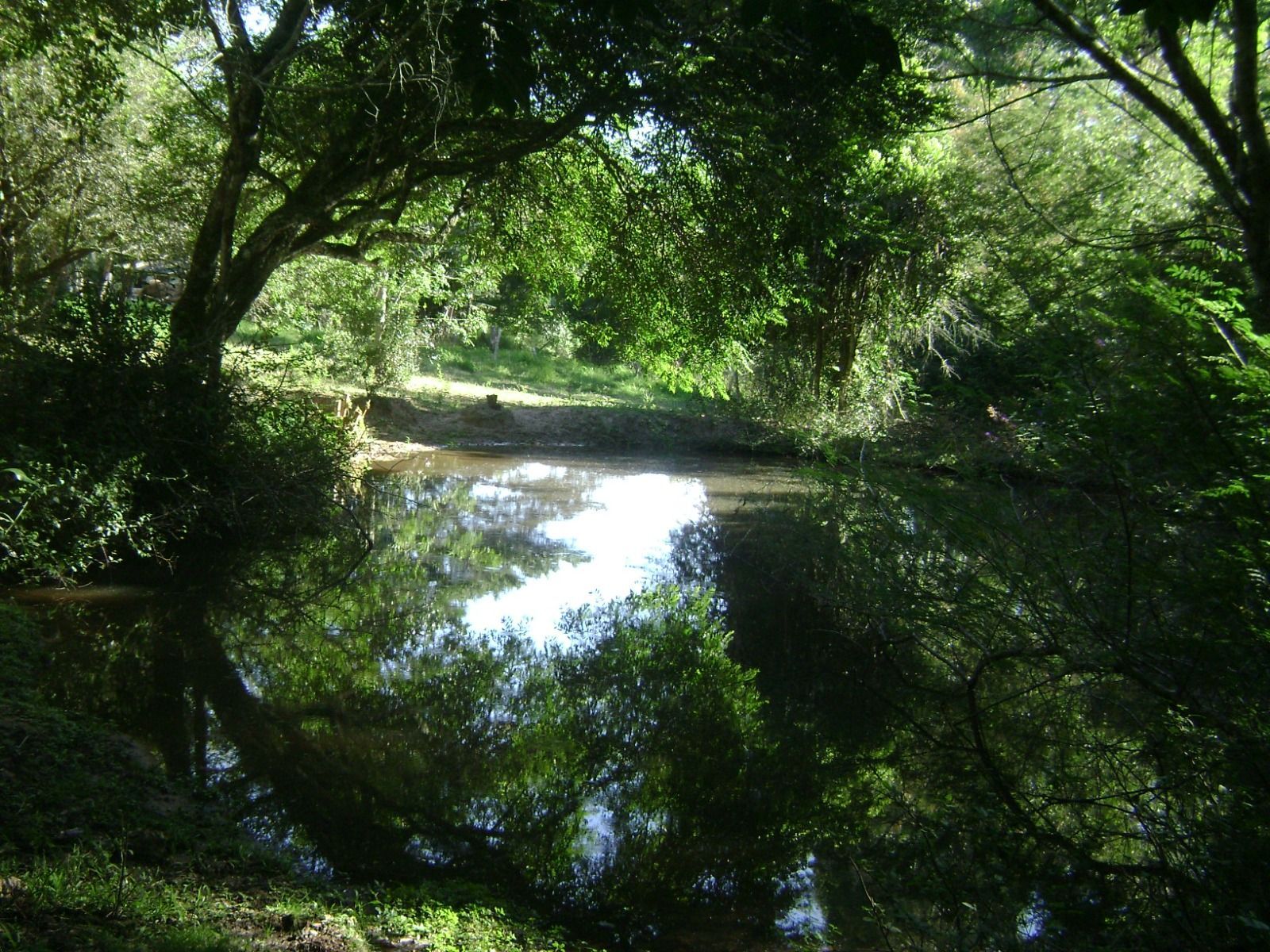 Sítio, 1 quarto, 3 hectares - Foto 24