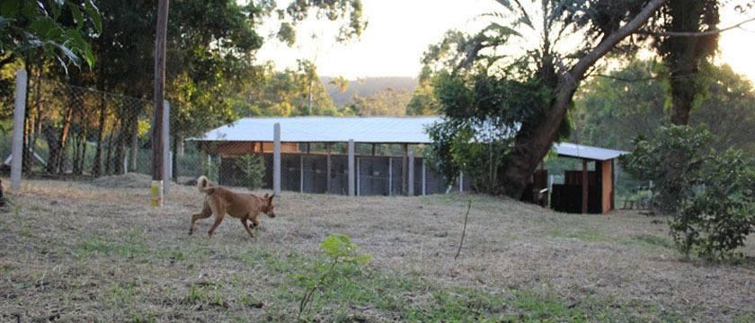 Sítio, 1 quarto, 3 hectares - Foto 27