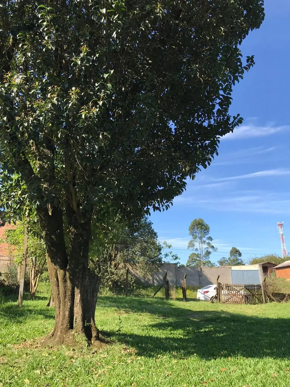 Terreno no bairro Neópolis