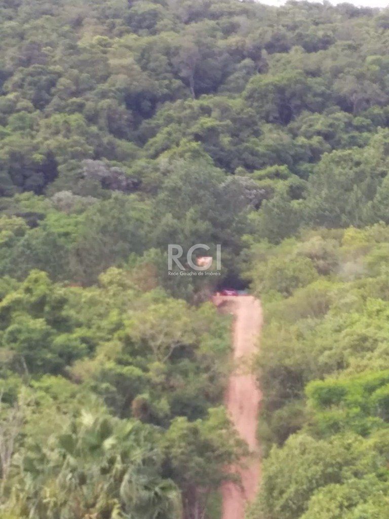 Terreno, 4 hectares - Foto 5