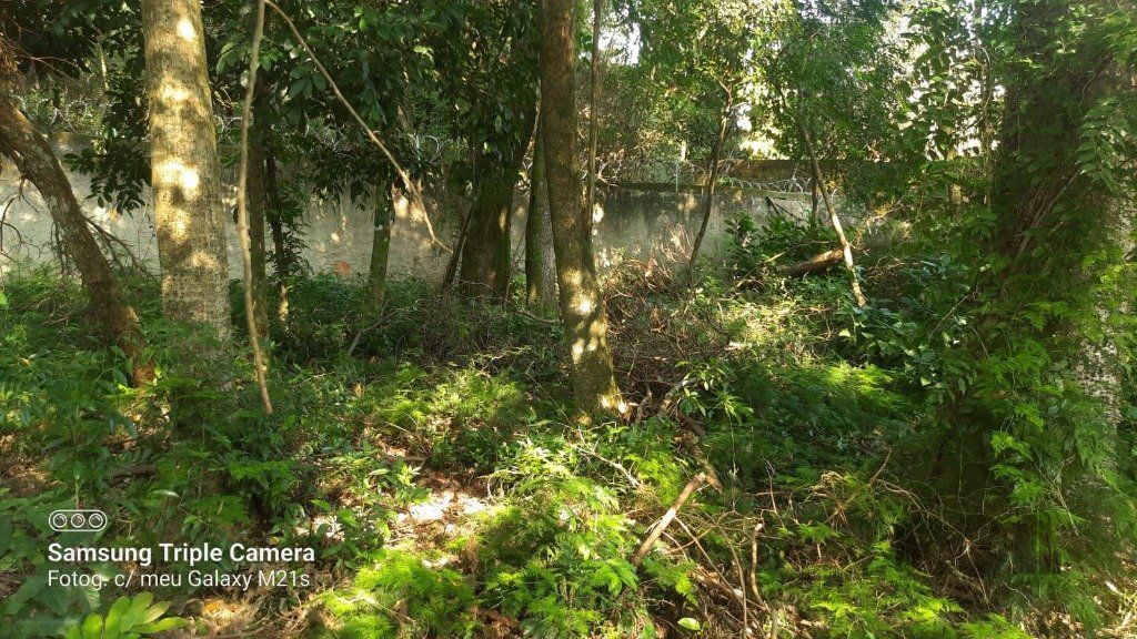 Casa, 4 quartos, 238 m² - Foto 12