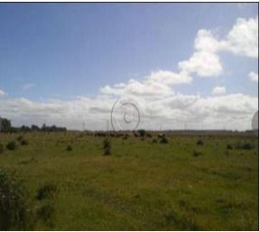 Terreno, 1 m² - Foto 10