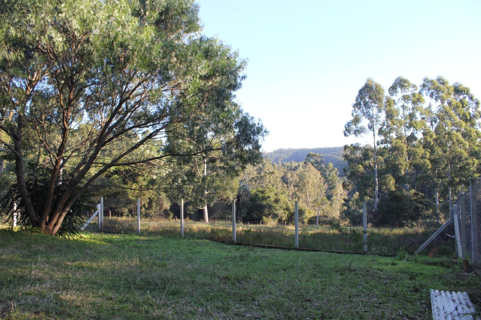 Sítio, 1 quarto, 3 hectares - Foto 23