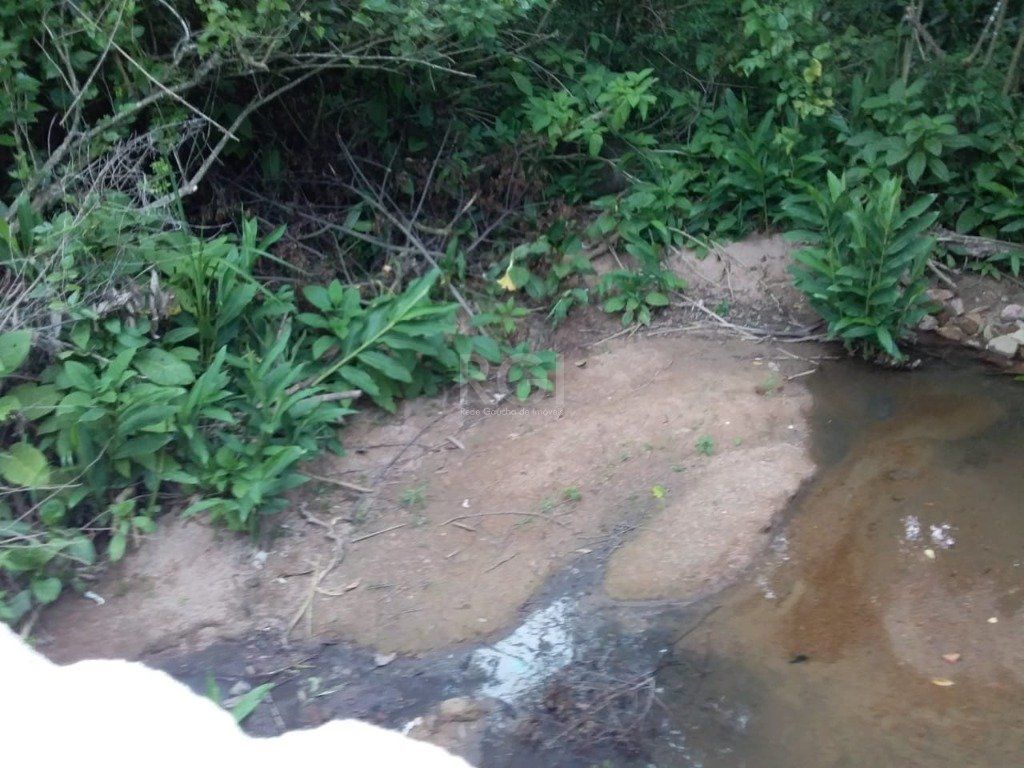 Terreno, 4 hectares - Foto 11