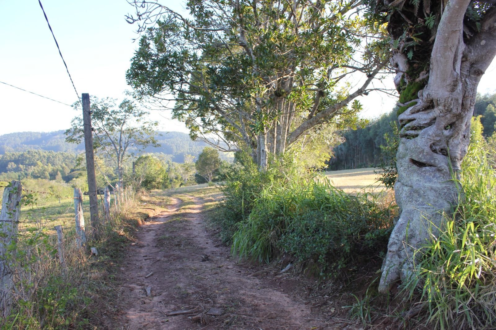 Sítio, 1 quarto, 3 hectares - Foto 46