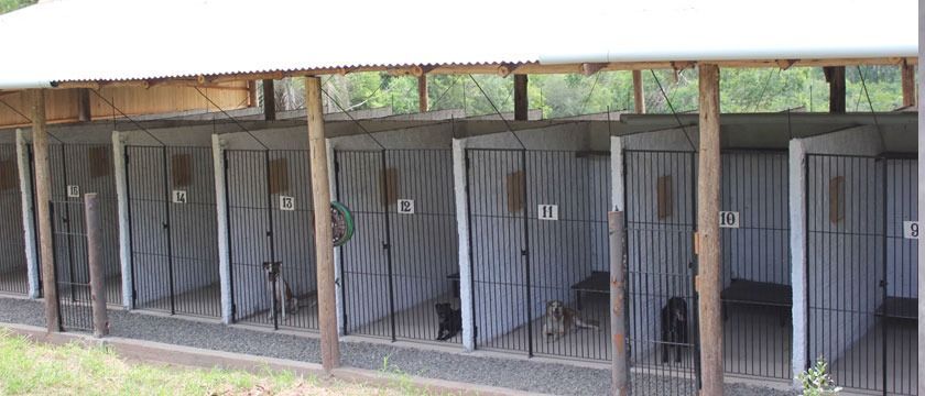 Sítio, 1 quarto, 3 hectares - Foto 17