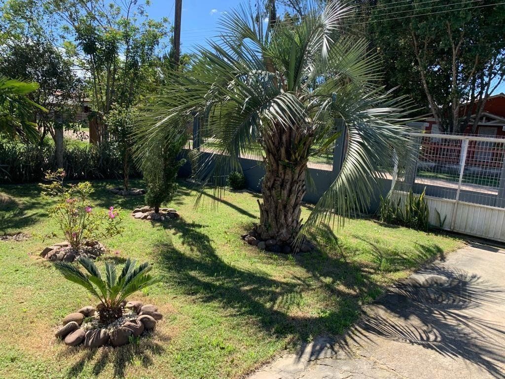 Chácara, 3 quartos, 551 m² - Foto 3