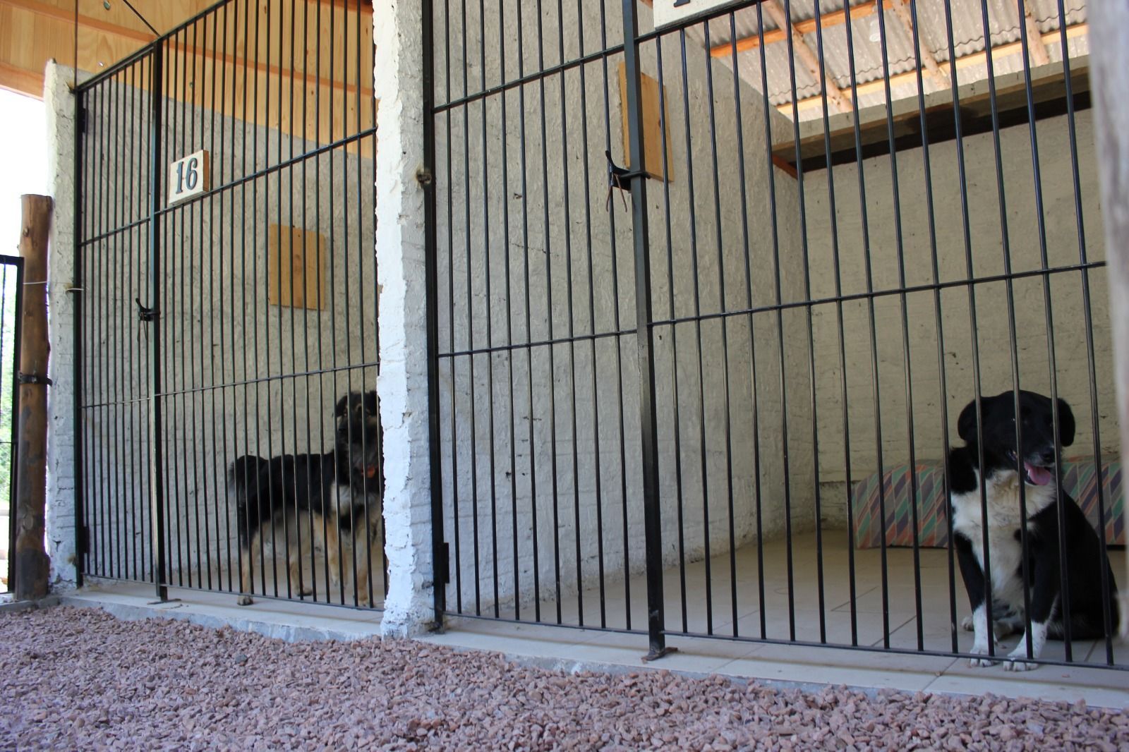 Sítio, 1 quarto, 3 hectares - Foto 29