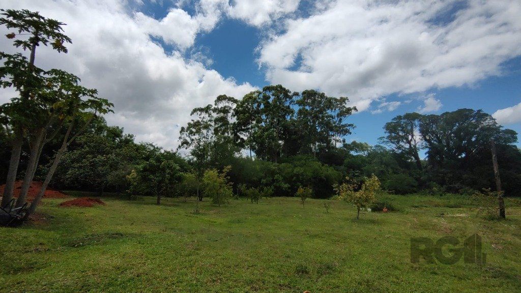 Chácara, 4 quartos, 2 hectares - Foto 43