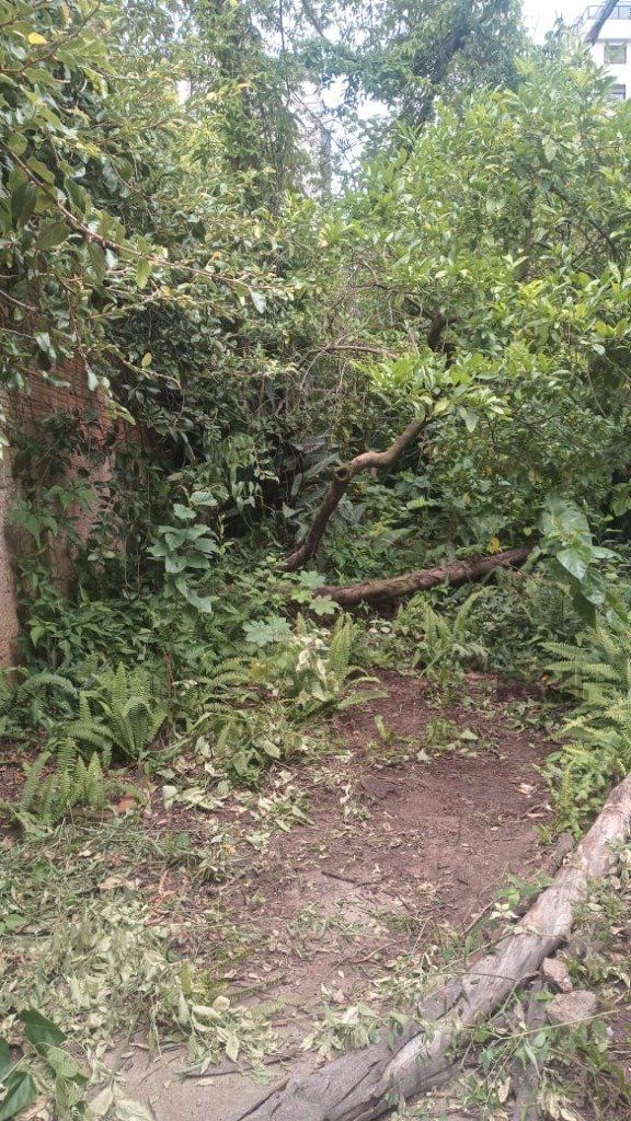 Loja-Salão à venda com 4 quartos, 146m² - Foto 28