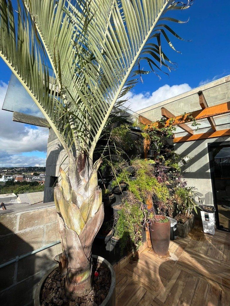 Casa à venda com 2 quartos, 180m² - Foto 10