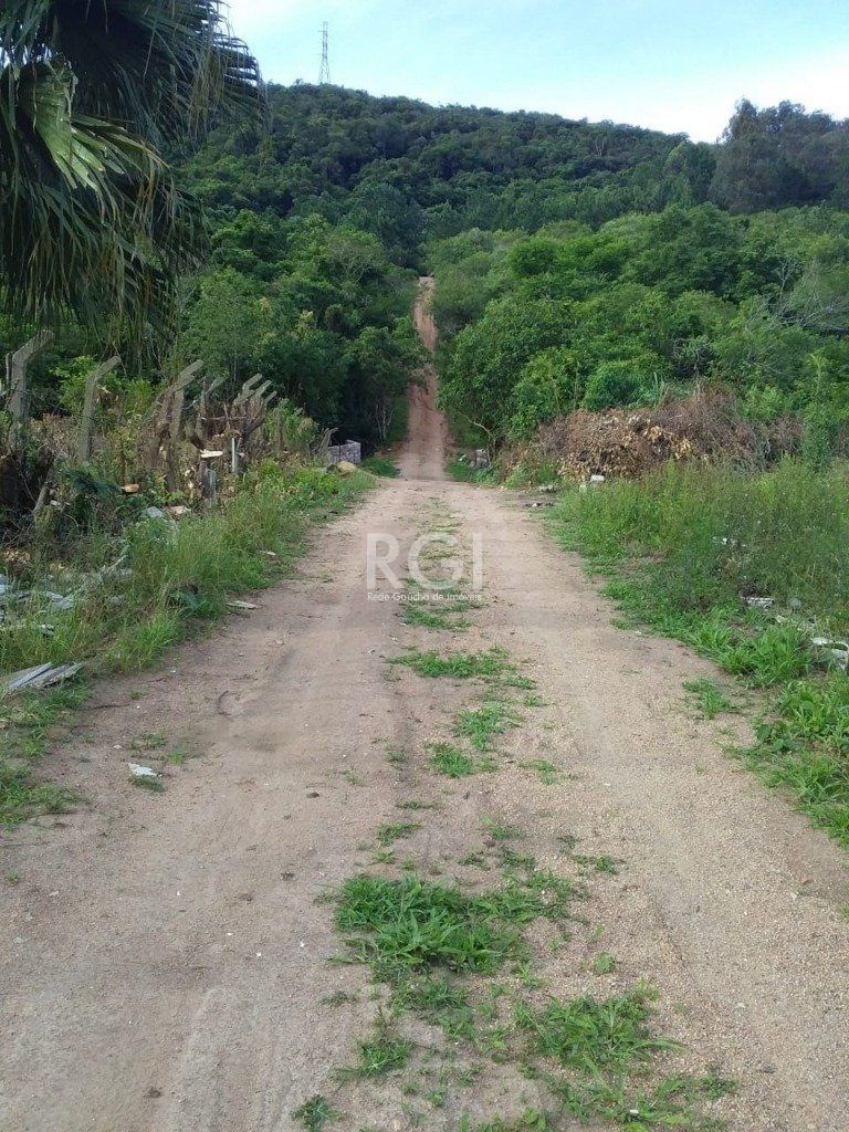 Terreno, 4 hectares - Foto 17