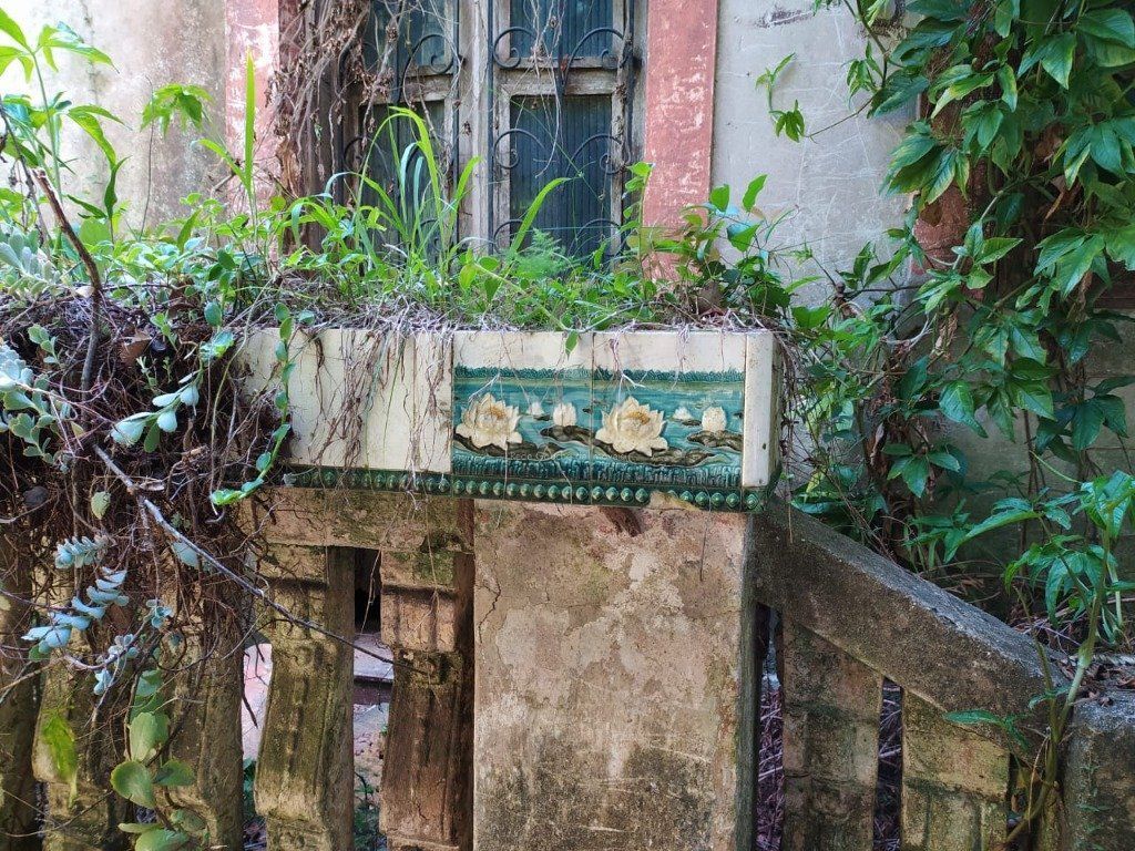 Terreno, 3 hectares - Foto 13