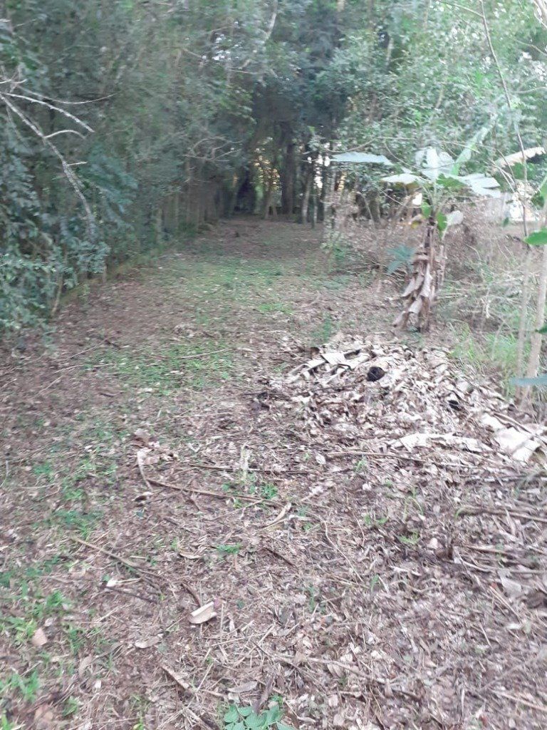 Terreno, 3150 m² - Foto 7