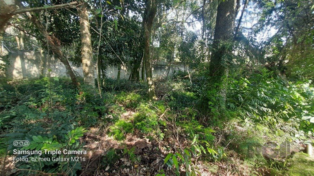 Casa, 4 quartos, 238 m² - Foto 15