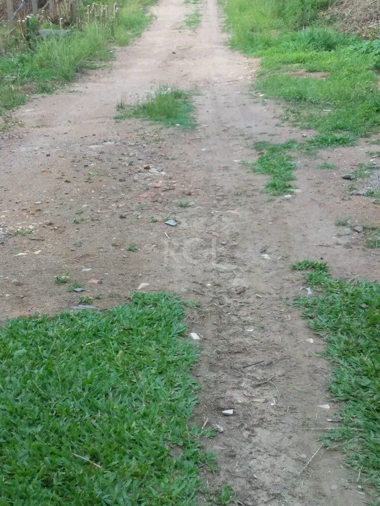 Terreno, 4 hectares - Foto 12