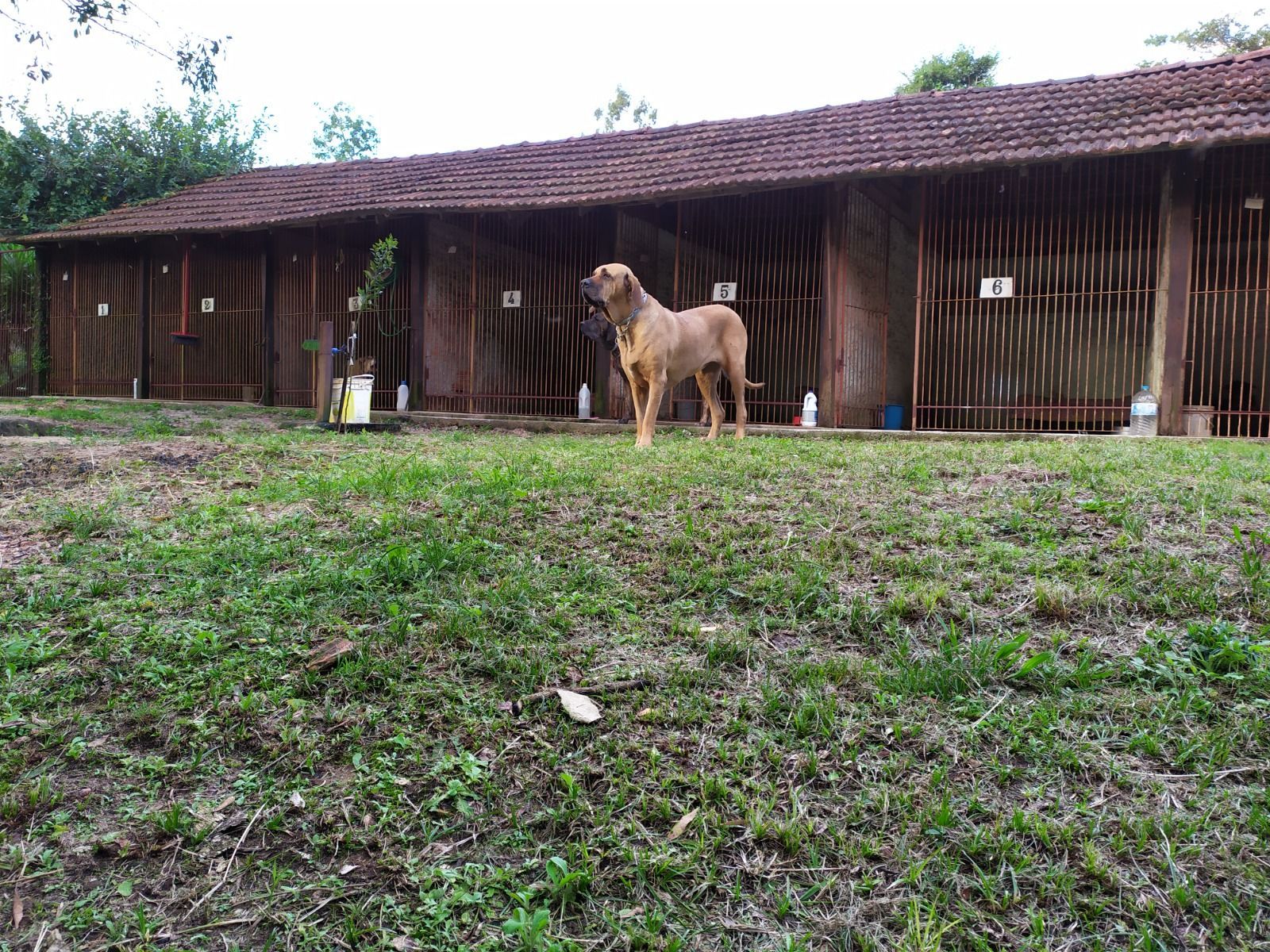 Sítio, 1 quarto, 3 hectares - Foto 19