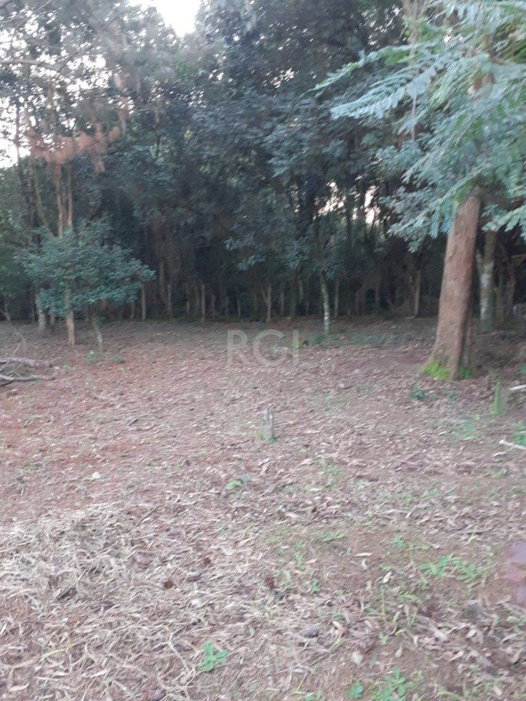 Terreno, 3150 m² - Foto 14