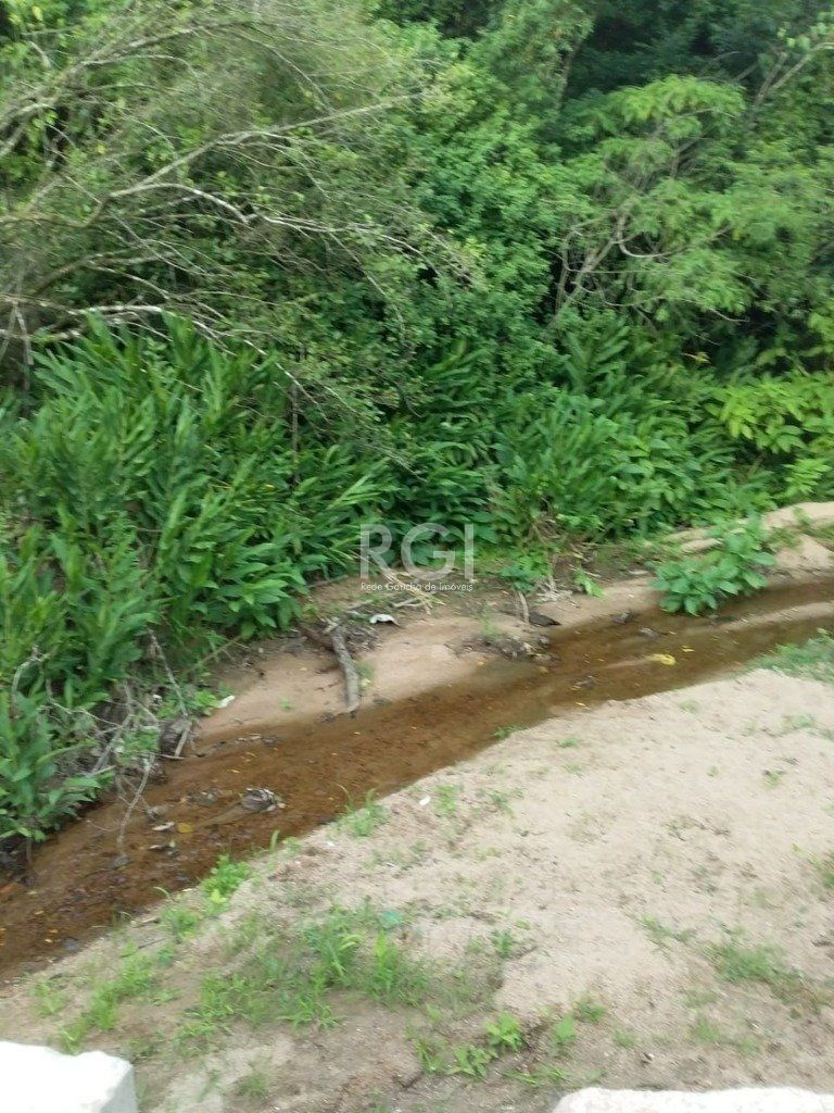 Terreno, 4 hectares - Foto 14