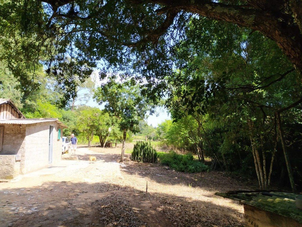 Terreno, 3 hectares - Foto 12