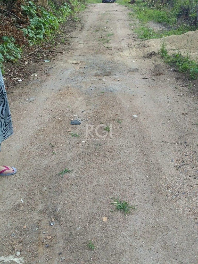 Terreno, 4 hectares - Foto 7