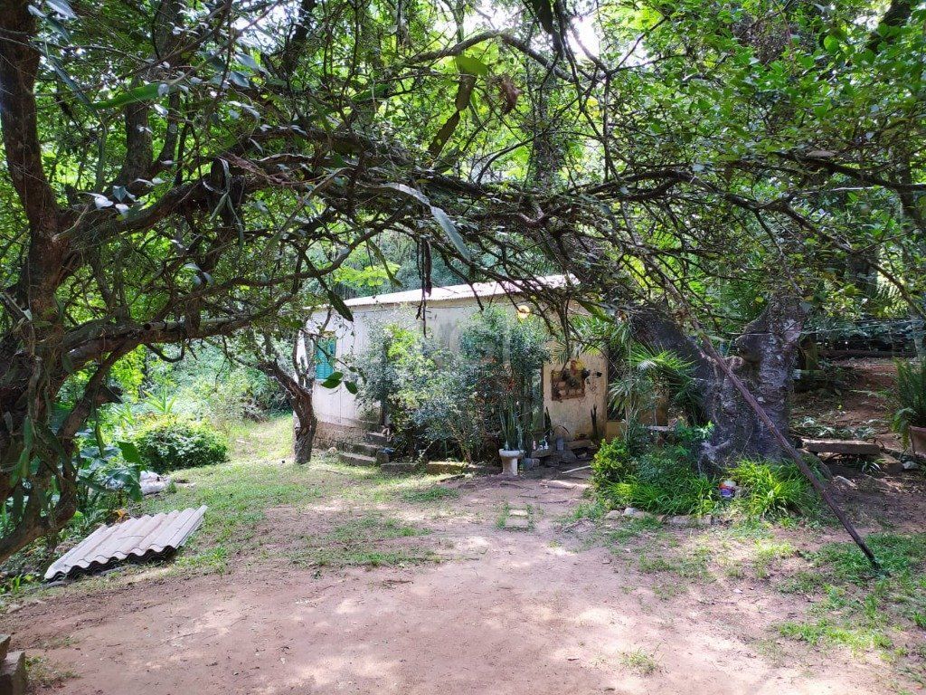 Terreno, 3 hectares - Foto 3