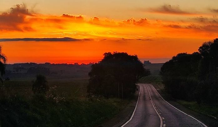 Terreno, 40 hectares - Foto 4