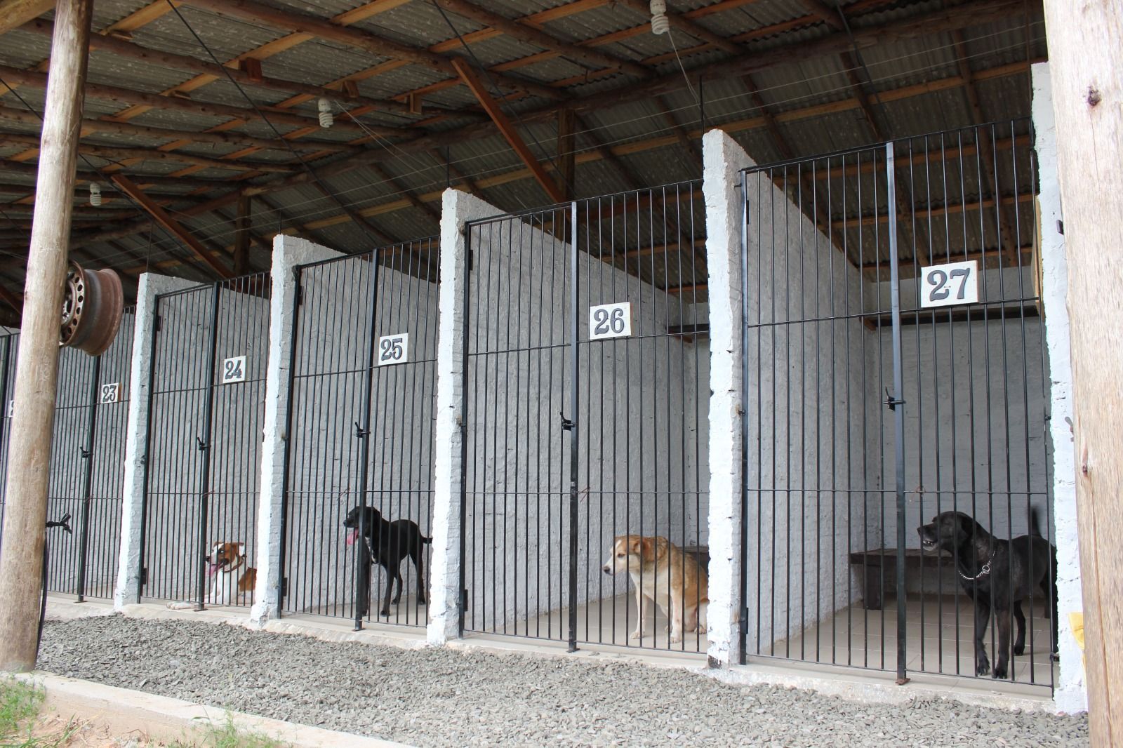 Sítio, 1 quarto, 3 hectares - Foto 41