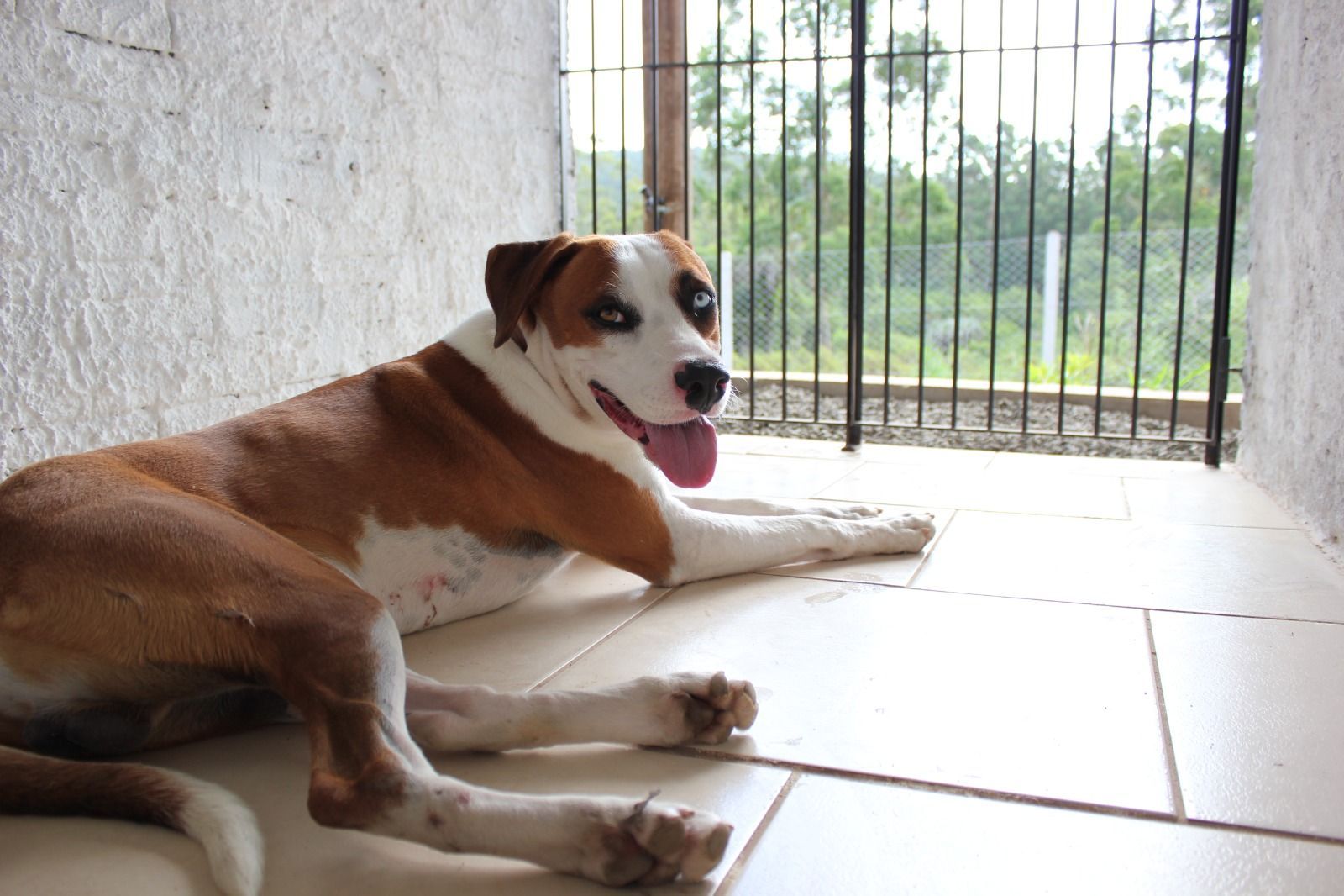 Sítio, 1 quarto, 3 hectares - Foto 40