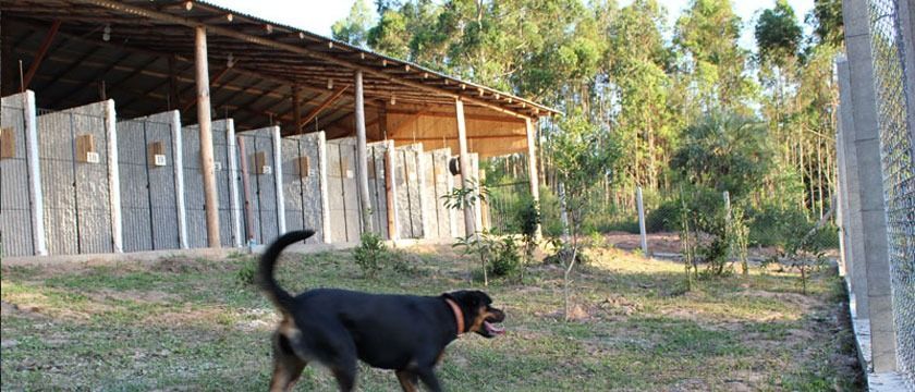 Sítio, 1 quarto, 3 hectares - Foto 44